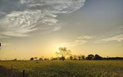 CLAVES EN LA COMPRAVENTA DE UNA PARCELA CHILE